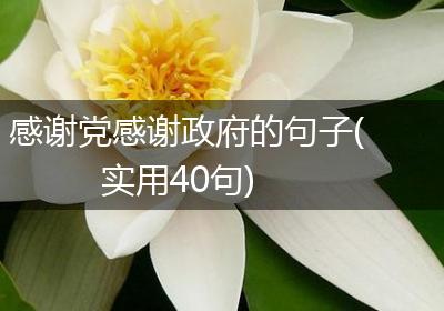 感谢党感谢政府的句子(实用40句)