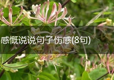 感慨说说句子伤感(8句)