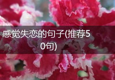 感觉失恋的句子(推荐50句)