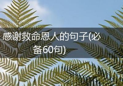 感谢救命恩人的句子(必备60句)