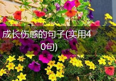 成长伤感的句子(实用40句)
