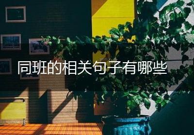 同班的相关句子有哪些