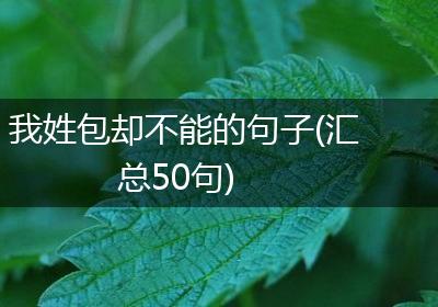 我姓包却不能的句子(汇总50句)