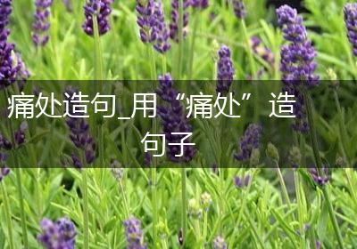 痛处造句_用“痛处”造句子