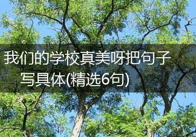 我们的学校真美呀把句子写具体(精选6句)