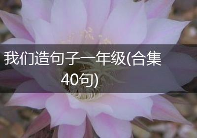 我们造句子一年级(合集40句)