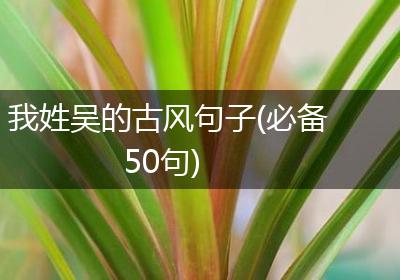 我姓吴的古风句子(必备50句)