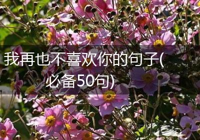 我再也不喜欢你的句子(必备50句)