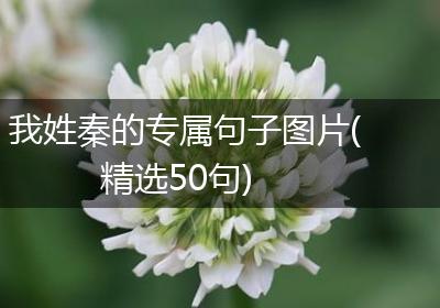 我姓秦的专属句子图片(精选50句)