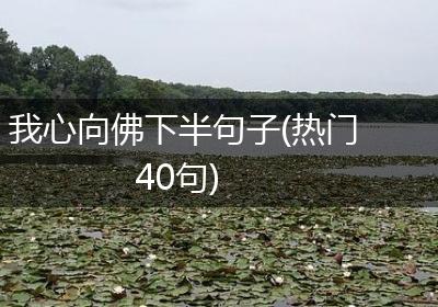 我心向佛下半句子(热门40句)