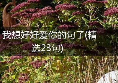 我想好好爱你的句子(精选23句)