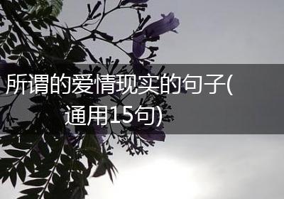 所谓的爱情现实的句子(通用15句)