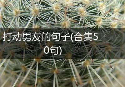 打动男友的句子(合集50句)