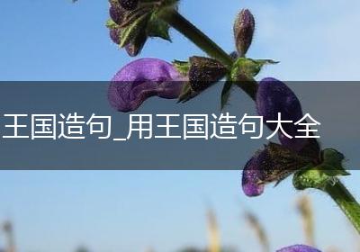 王国造句_用王国造句大全