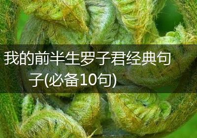 我的前半生罗子君经典句子(必备10句)