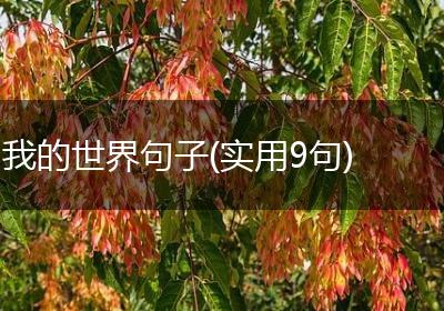 我的世界句子(实用9句)