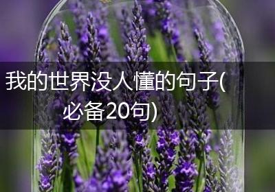 我的世界没人懂的句子(必备20句)