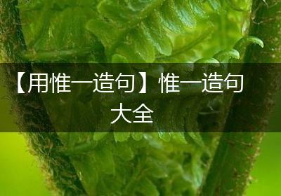 【用惟一造句】惟一造句大全