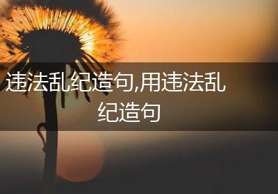 违法乱纪造句,用违法乱纪造句