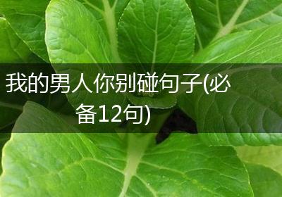 我的男人你别碰句子(必备12句)