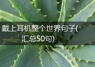 戴上耳机整个世界句子(汇总50句)