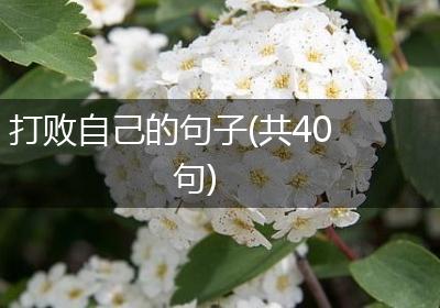 打败自己的句子(共40句)
