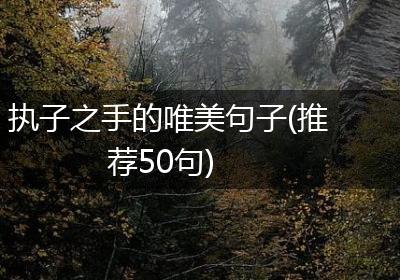 执子之手的唯美句子(推荐50句)