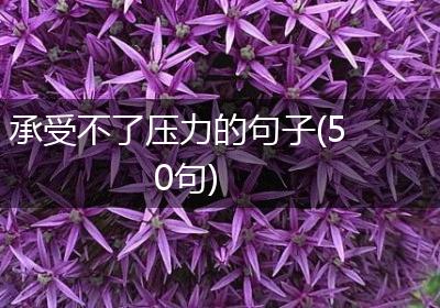 承受不了压力的句子(50句)
