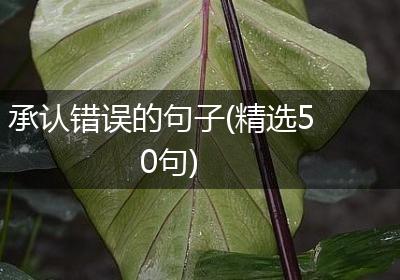 承认错误的句子(精选50句)