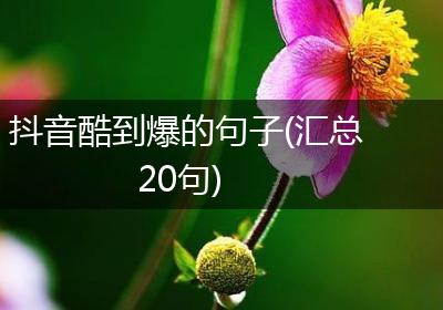 抖音酷到爆的句子(汇总20句)