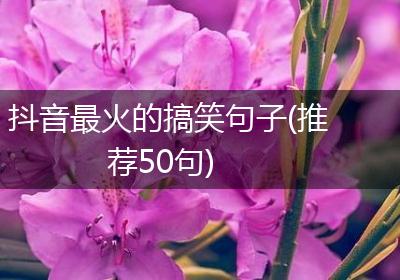 抖音最火的搞笑句子(推荐50句)