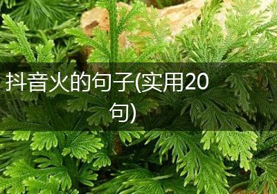 抖音火的句子(实用20句)