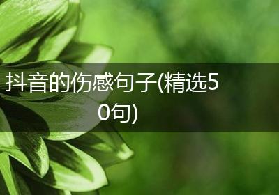 抖音的伤感句子(精选50句)