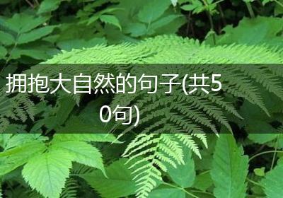 拥抱大自然的句子(共50句)