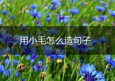 用小毛怎么造句子