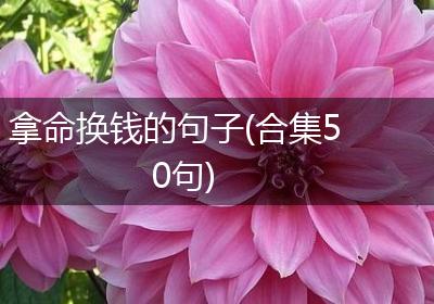 拿命换钱的句子(合集50句)