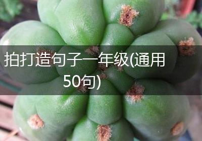 拍打造句子一年级(通用50句)