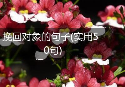 挽回对象的句子(实用50句)