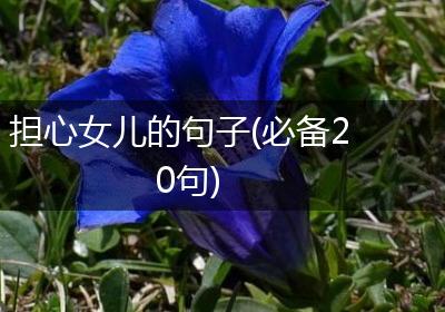 担心女儿的句子(必备20句)