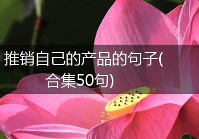 推销自己的产品的句子(合集50句)