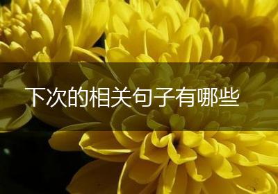 下次的相关句子有哪些