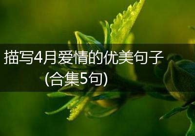 描写4月爱情的优美句子(合集5句)