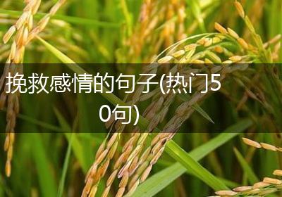挽救感情的句子(热门50句)