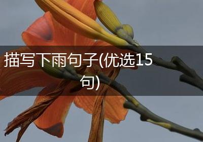 描写下雨句子(优选15句)
