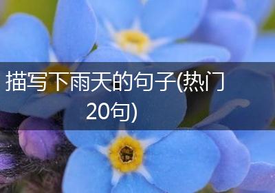 描写下雨天的句子(热门20句)