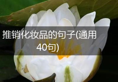 推销化妆品的句子(通用40句)