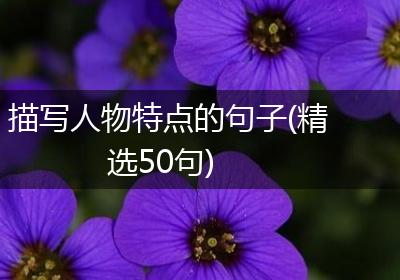 描写人物特点的句子(精选50句)
