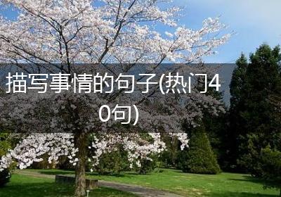 描写事情的句子(热门40句)