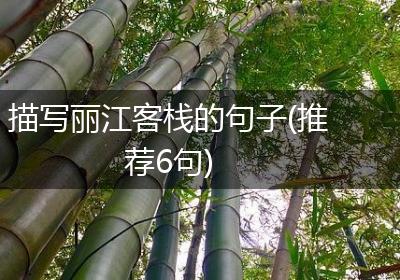 描写丽江客栈的句子(推荐6句)