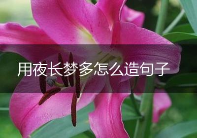 用夜长梦多怎么造句子